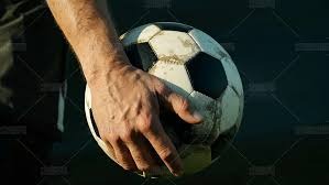 青少年校园马术启蒙：在马背成长中涵养品格