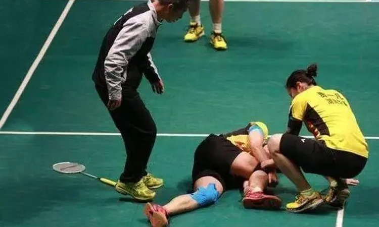 《宝可梦Sleep》新功能“睡饱饱奖章”概念影像公布!